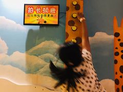 -不可思议减压馆·解压博物馆·摔碗发泄·团建定制