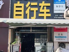 -道路口单车爱瓦士dahon大行