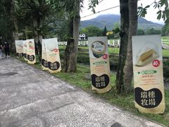 -瑞穗牧场