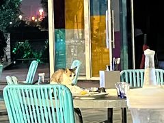 -西安浐灞艾美酒店·汉江餐厅·火锅