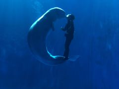 -多彩贵州城极地海洋世界