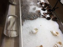 -上海新发展亚太JW万豪酒店