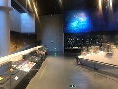 -北京周口店北京人遗址博物馆