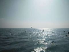 -宝安西湾红树林湿地公园