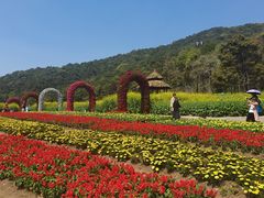 -广州市石门国家森林公园