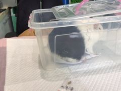 -雨林宠物医院 非犬猫异宠专科