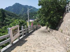 -大岭沟猕猴桃谷风景区