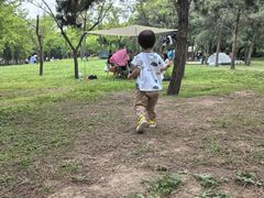 -洨河生态公园