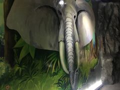 自然馆-西安世博园