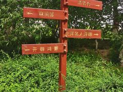 -桃花堤公园