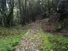 -冕宁灵山寺