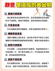 -Fundi张玉珊修身堂·indiba·BTL科技瘦身