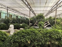 -南宫五洲植物乐园