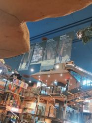 -卡通尼·Safari非洲探索乐园·生日会(金桥国际商业广场店)