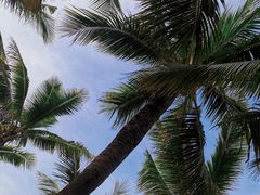-三亚西岛海洋文化旅游区