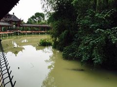 -中国扬子鳄村