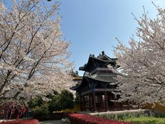 -三国水浒景区(无锡影视基地)