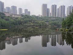 -重庆彩云湖湿地公园