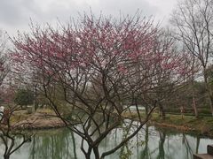-天禄堂西溪庄园