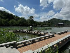 -顺峰山公园