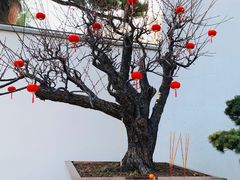 -龙华寺