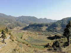 -灵山景区梯田