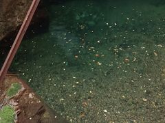 -九龙潭景区