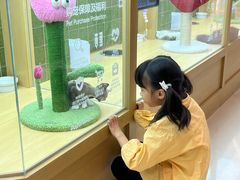 -首开·龙湖成都西宸天街