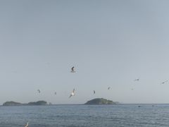 -傅家庄公园