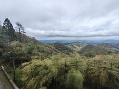 -莫干山风景区