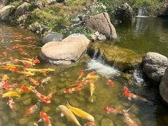 -罗红摄影艺术馆