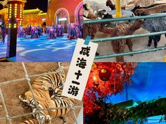 -西霞口神雕山野生动物世界