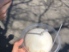 -椰子下蛋(南锣鼓巷店)