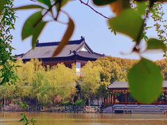 -南汇桃花村
