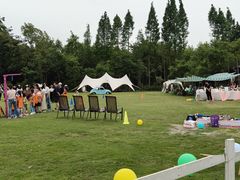 -金谷域澳洲庄园