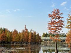 -白鹭湾湿地公园