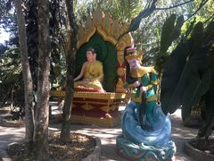 -瑞丽独树成林风景区