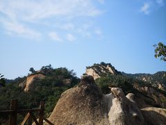 -大岭沟猕猴桃谷风景区