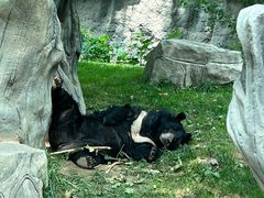 -北京野生动物园