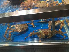 -盒马X会员店(王府井奥莱UP TOWN店)