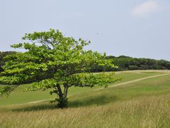 -鹅銮鼻公园