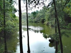 -天目湖山水园