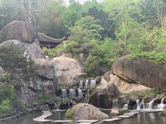 -大围山国家森林公园