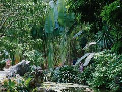 -中国科学院西双版纳热带植物园