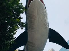 -海合安成都极地海洋公园