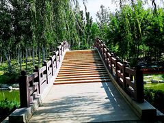 -大兴滨河森林公园