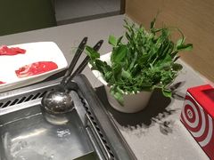 -海底捞火锅(方塔东街店)