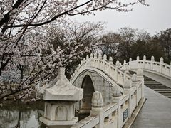 -月湖风景区
