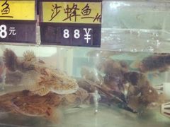 -农厨好味·温泉鹅·农家菜