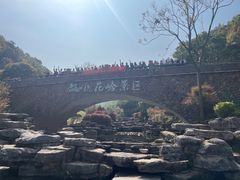 -桃花岭景区